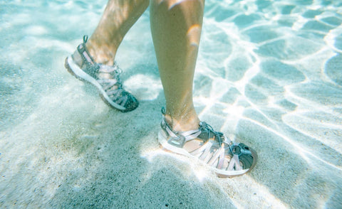 Women's Whisper  |  Timberwolf/Tarragon