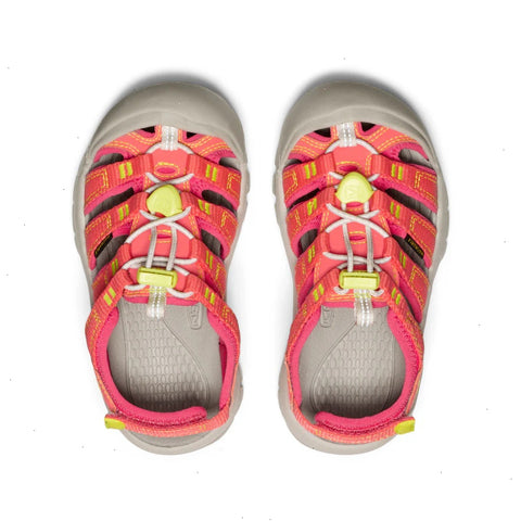 Little Kids' Newport Boundless Sandal  |  Dubarry/Evening Primrose