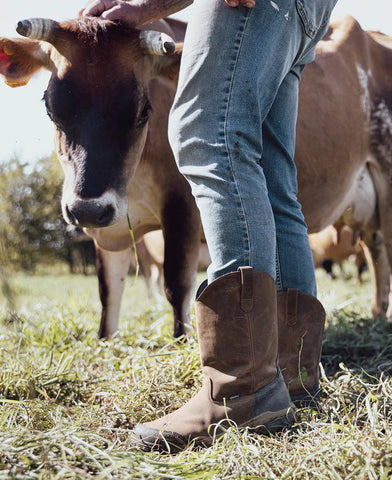 Men's Evanston Pull-On Waterproof Boot (Soft Toe)  |  Bison/Black