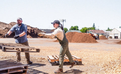 Women's Skokie Waterproof Work Boot (Carbon Toe)  |  Bison/Black
