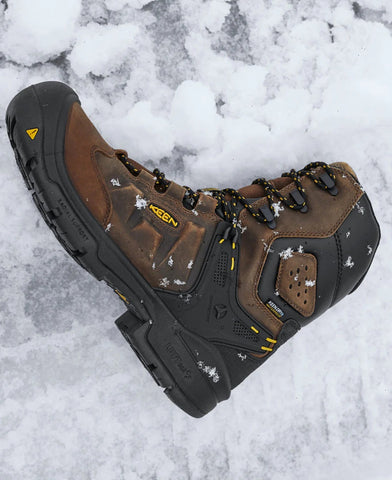 Men's Dover 8" Insulated Waterproof Boot (Carbon Toe)  |  Dark Earth/Black