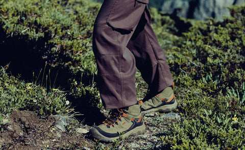 Men's Targhee IV Waterproof Hiking Boot  |  Sea Turtle/Roasted Pecan